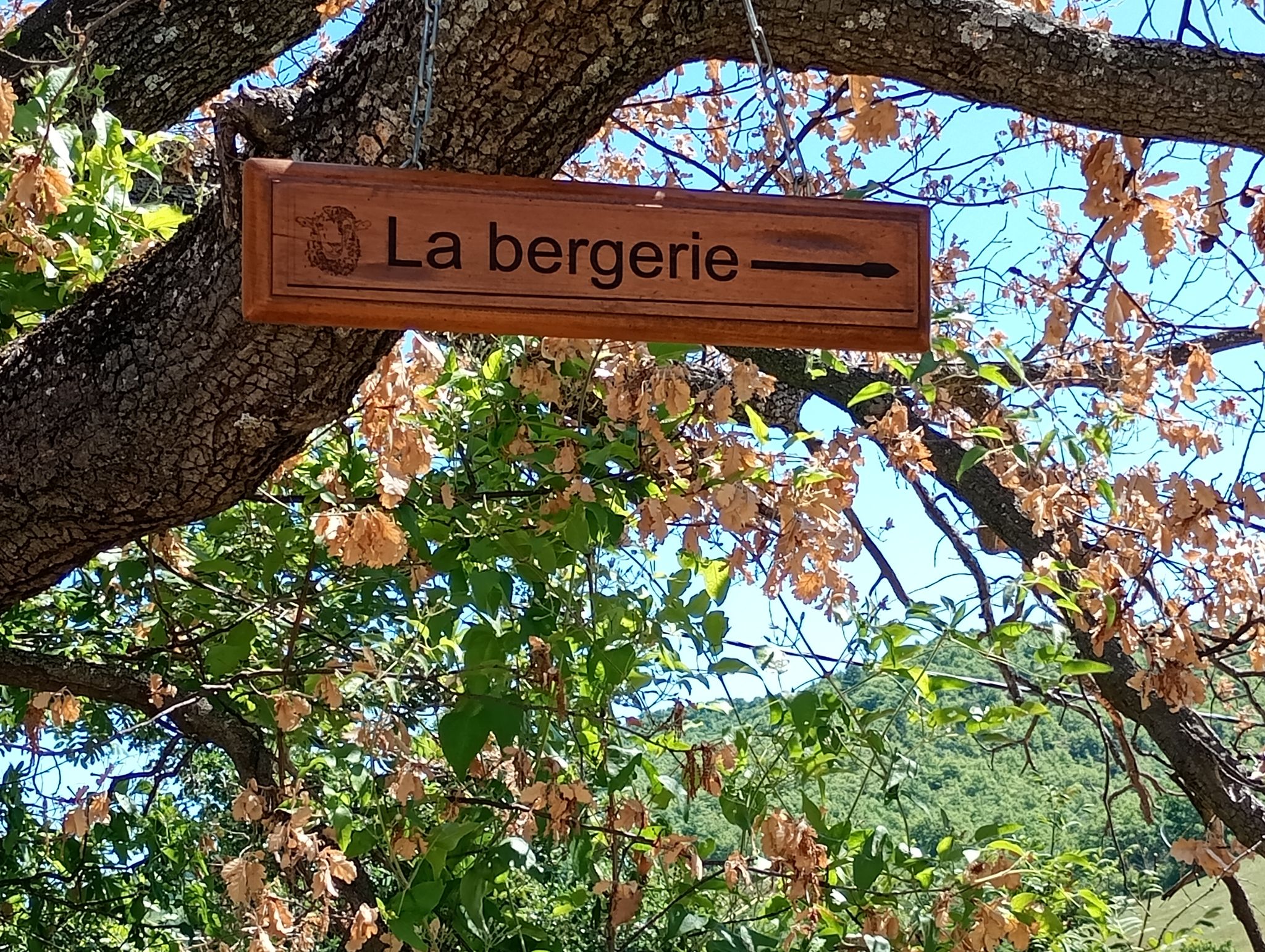 Panneau sous l'arbre