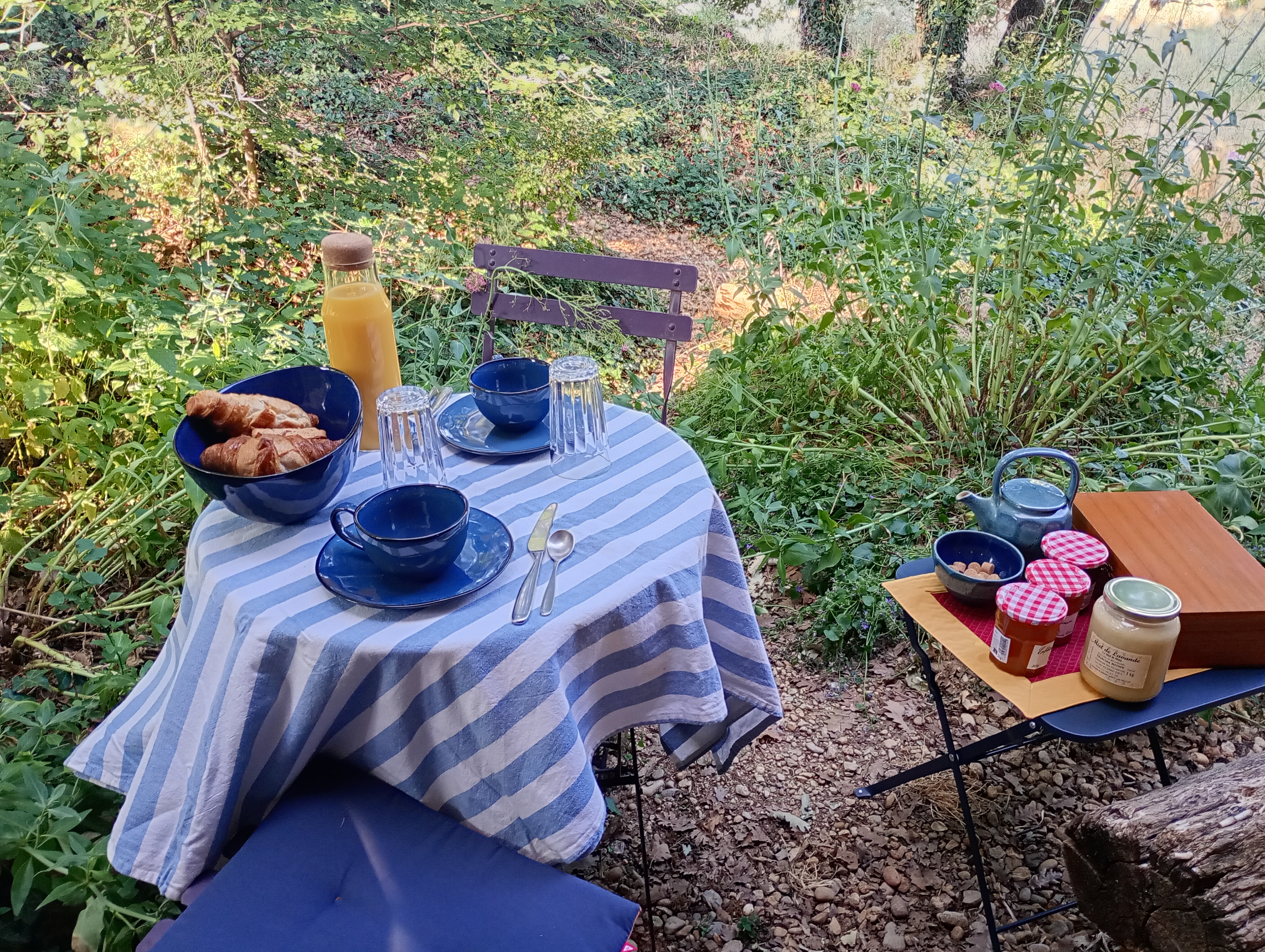 Petit-déjeuner servi à l’extérieur, sous les arbres
