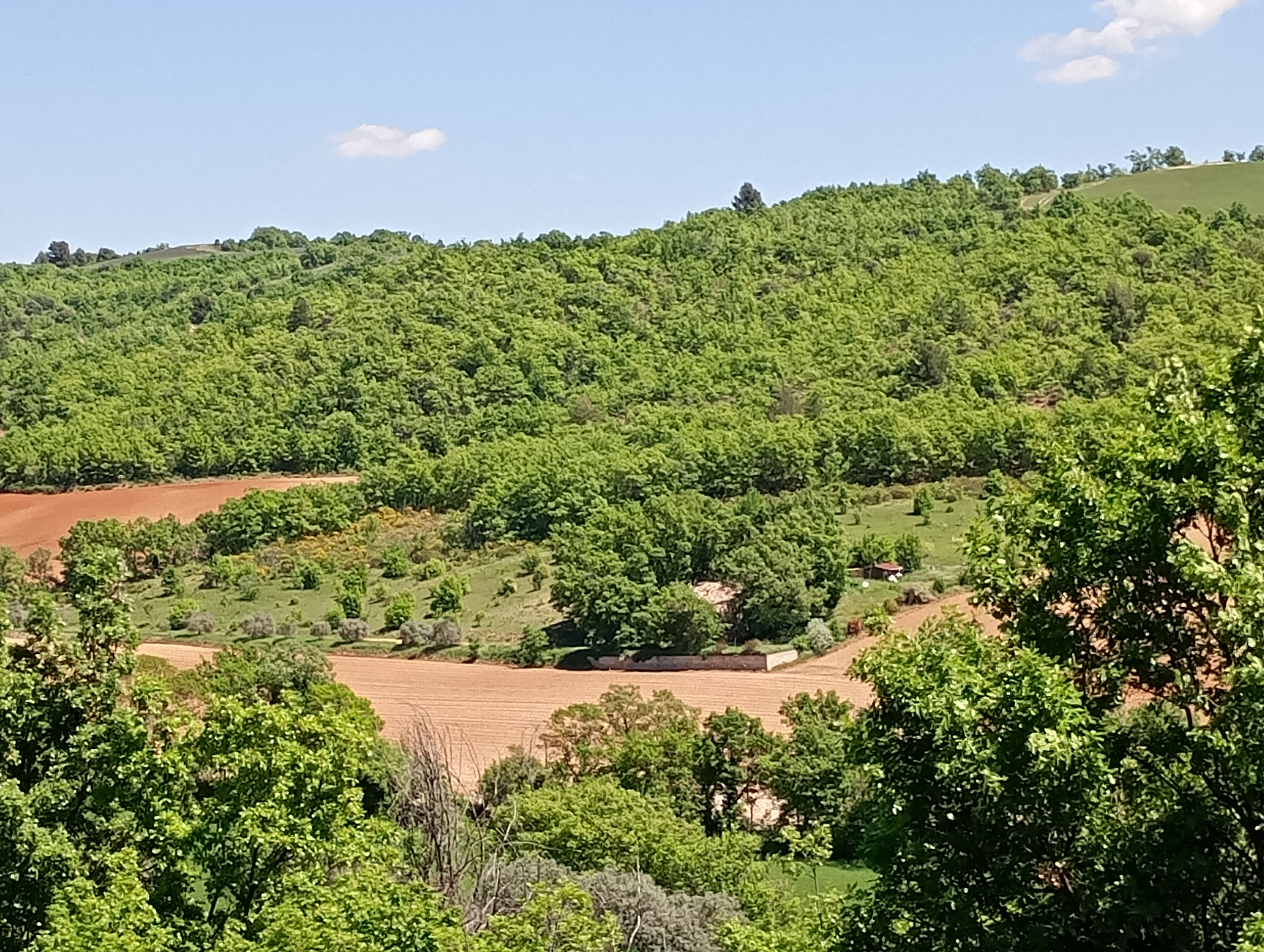 Panorama